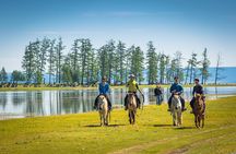10 Days Gobi Desert and Express Mongolia
