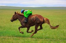2 Days Naadam Festival 2020
