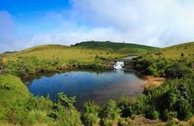Horton Plains Day Tour with Short Train Journey from Ella