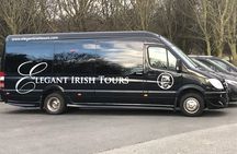 (Small Group) Shore Tour from Cork: Blarney Castle & Jameson Distillery