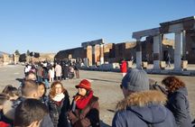  Visit Herculaneum with an expert professional guide (2/3 hours)
