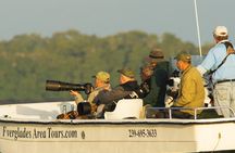 Two-Hour Everglades National Park Dolphin, Birding and Wildlife Boat Tour