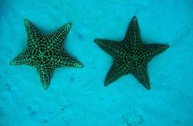 Saona for Cruiseship passengers 