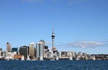 Private Auckland City Tour For Small Group in a luxury vehicle.