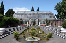 Private Auckland City Tour For Small Group in a luxury vehicle.