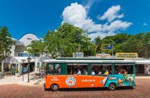 Key West Shore Excursion: Hop-On Hop-Off Trolley Tour