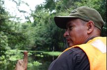 Amazon jungle expedition 4/ Days 3/ Nights 600 usd
