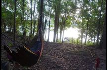 Amazon Wildlife Excursions 2/ Days /1 night 