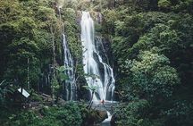 Bali: Bedugul Temple, Banyumala Waterfall, UNESCO Rice Terrace
