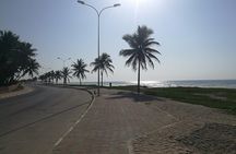 East Salalah Highlights: Half-Day Heritage & Scenic Countryside
