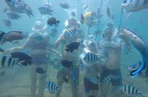 Cham Island Sea Trek and Snorkeling by Speedboat