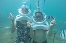 Cham Island Sea Trek and Snorkeling by Speedboat