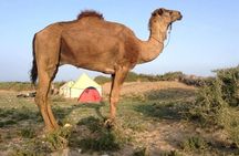 Overnight in a Berber village in the heart of the Atlas Mountains