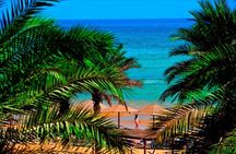 Red sea Day Trip