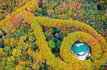 Half-Day Nanjing Purple Mountain Private Tour in Your Way