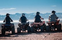 Half day Quad Palmeraie: The Best Quad rides