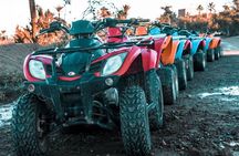 Half day Quad Palmeraie: The Best Quad rides