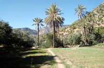 Discover Paradise Valley by Biking&Hiking