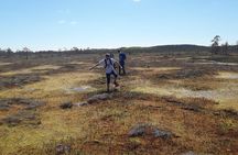 Bog-shoe Hiking Tour