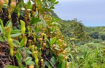Private Nature Tours & Trail 1 to 5 persons