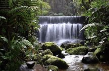 Mindo from Quito - Private Tours