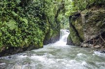 Mindo from Quito - Private Tours