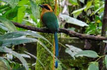 Mindo from Quito - Private Tours