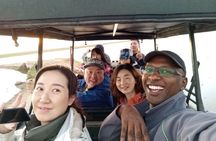 7 Days Special Kenya safari