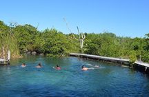 Discover the Wonders of Holbox, Cenote and Passion Island. Transport included