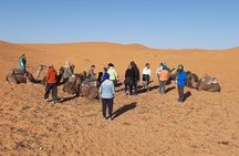 Amazing 3days to Sahara from Casablanca to Marrakesh through Fez