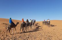 Amazing 3days to Sahara from Casablanca to Marrakesh through Fez