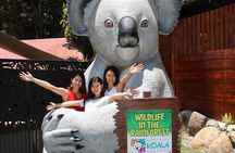 Kuranda Koala Gardens and Birdworld Admission Tickets
