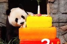 Chengdu Private Day Tour: Du jiang yan Panda Base and Qingcheng Mountain