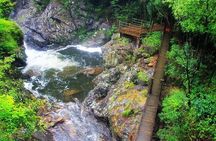Chengdu Private Day Tour: Du jiang yan Panda Base and Qingcheng Mountain
