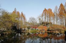 Classic Hangzhou city day tour
