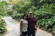 Wellington city heights sightseeing Private 5 hour tour