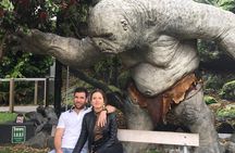 Wellington city heights sightseeing Private 5 hour tour