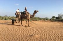 SR Camel Safari Tour Osian-Jodhpur