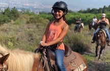 Mount Vesuvius Guided Horse Riding Tour with Sample Wine