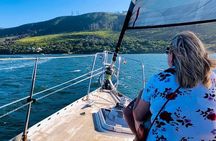 Knysna Day Sailing Cruise 1.5 hour