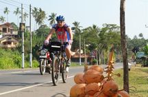 Countryside Cycling Tour in Colombo