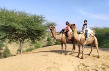 SR Camel Safari Tour Osian-Jodhpur