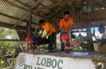 Bohol: Countryside Eco-Cultural Tour w/ Loboc River Lunch