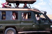 3 Days Amboseli National Park