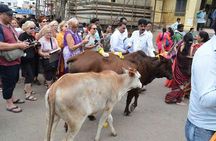 1- Day Golden Triangle Tour to Agra Jaipur from Delhi