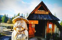 Krakow to Zakopane and Thermal Baths with Hotel Pickup 
