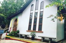 Bob Marley Nine Mile Private Tour 
