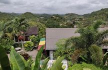 Bob Marley Nine Mile Private Tour 