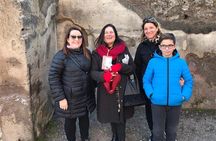 Visit Pompeii with an expert professional guide (2/3 hours)