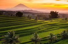 Private Tour: Jatiluwih Rice Terraces - Ulun Danu Temple - Bayumala Waterfalls